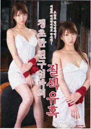 秘密森林剧集条目封面
